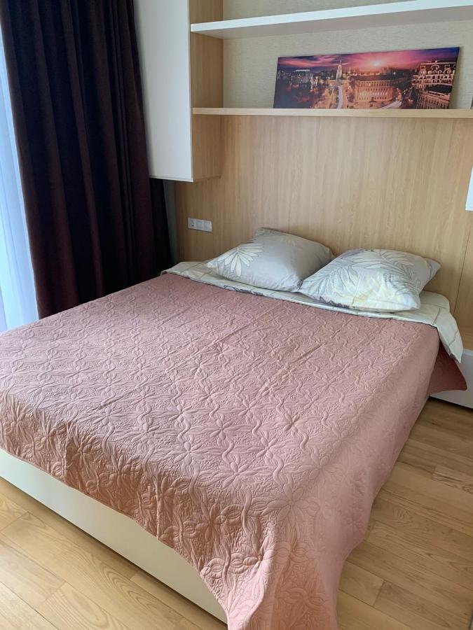 Comfortable Apartments French Quarter Акумулятори Світло Інтернет Завжди Kijev Kültér fotó